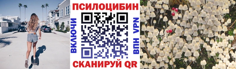 купить закладку  Лебедянь  Галлюциногенные грибы прущие грибы 