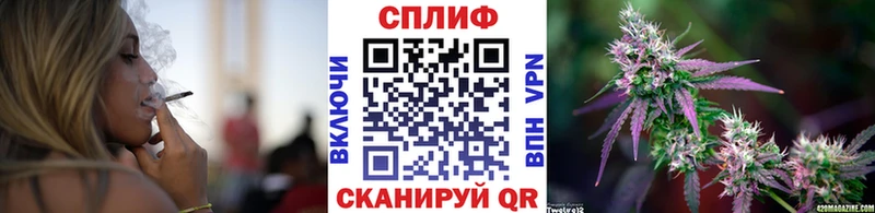 купить  сайты  Лебедянь  МЕГА   Каннабис сатива 